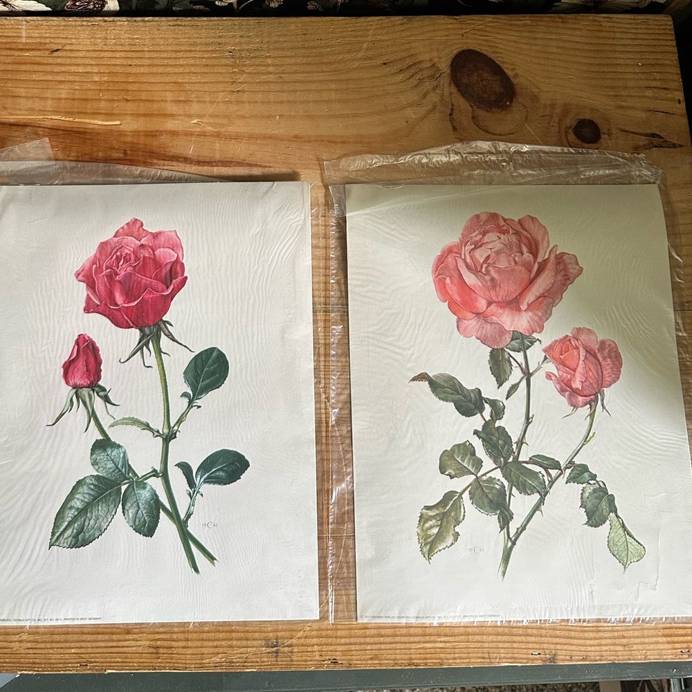 Vintage deep, pink and baby pink rose Print Kronen Verlag 1971 West Germany lot